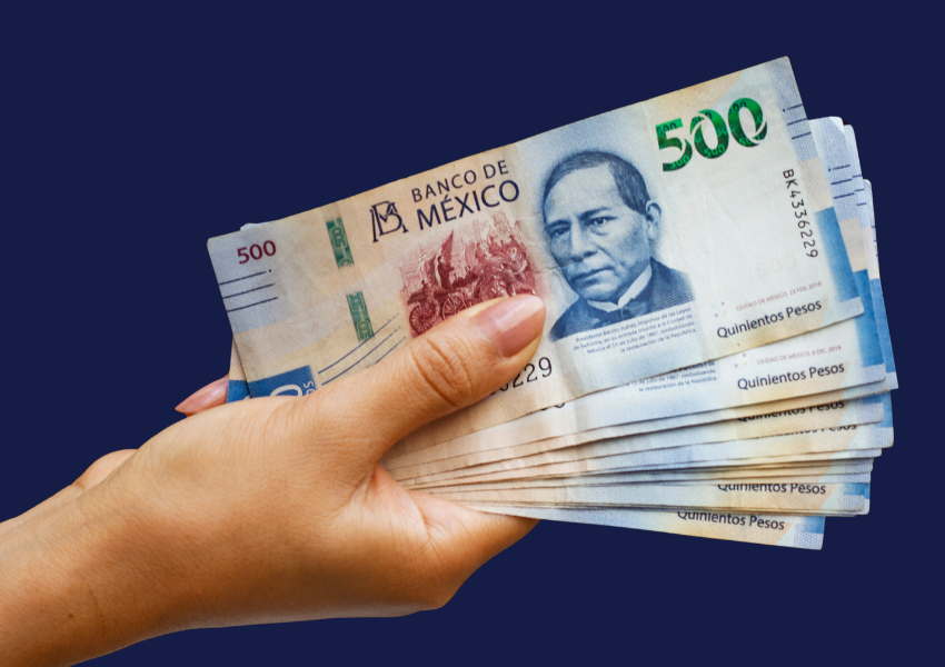 ESTAFA MAESTRA AL DESCUBIERTO: ENTRE EL FRAUDE Y LA TRANSPARENCIA.